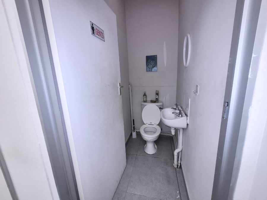 To Let 0 Bedroom Property for Rent in Rondebosch Western Cape